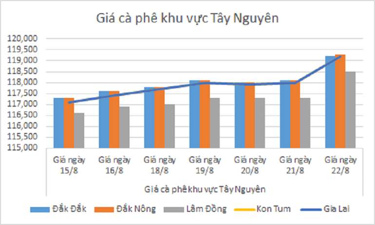 Bieu do gia ca phe ngay 22.8.2024_1724297066.png